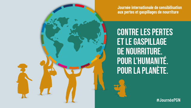 Image onu